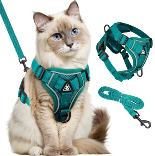 GlasFlength Katzengeschirr mit Leine Ausbruchsicher, Katzenleine mit Geschirr für Katzen Verstellbar Katzen Geschirr Set Cat Harness Softgeschirr für Katze mit Reflektierenden Streifen (Rosa-S)