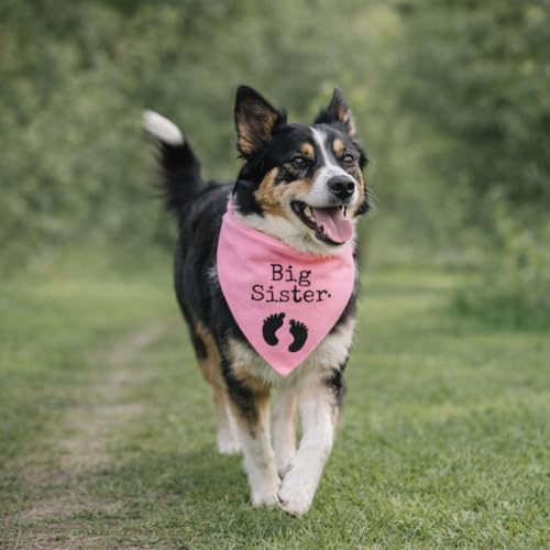Bandana Chien Personnalisé avec Nom – Foulard pour Chien Personnalisable avec Texte & Symbole – Lavable – Fabriqué et Personnalisé en Europe (L, Naissance)