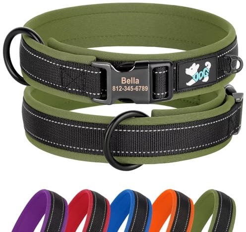 Didog Personalisiertes Nylon-Hundehalsband, weiches Neopren gepolstert, individuelle Hundehalsbänder, reflektierendes Hundehalsband graviertem Namensschild kleine, mittelgroße große Hunde, grün, S
