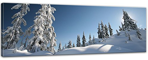 Bilderdepot24 Keilrahmenbild - Schneelandschaft - Bild auf Leinwand 120 x 40 cm - Leinwandbilder Bilder als Leinwanddruck Landschaften winterliche, verschneite Landschaft