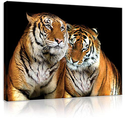 Forwall Leinwand Bilder 100x75 cm | Tiger Afrika Tiere, Leinwandbilder, Bild auf leinwand, Format: 100x75 cm (BxH) - einteilig auf Canvas Leinwand. Das