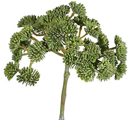 artplants.de Künstliche Sukkulente Sedum Danica, grün, 20cm, Ø 10cm