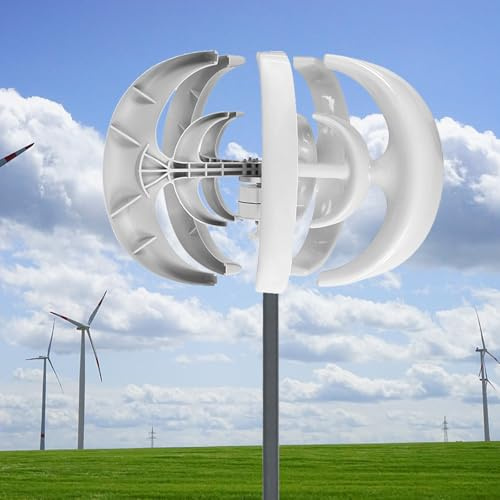 Kit de generador de turbina eólica Vertical de 10000 W, 5 aspas, 12 V/24 V, Sistema de energía eólica de Alta eficiencia para Uso doméstico y alumbrado público, diseño Blanco Duradero.