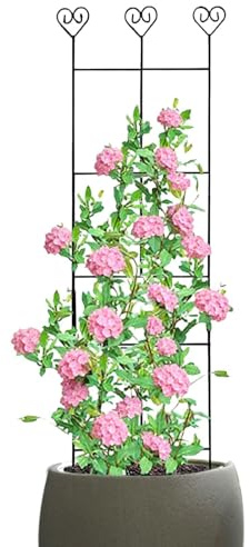 Treillis pour grimpantes | Treillis antirouille pour grimpantes d'extérieur – Piquets métalliques pour décoration de cour pour intérieur et extérieur – Lierre – Rose – Pothos