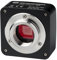 Bresser MikroCam Mikroskopkamera SP 5MP mit USB 2.0, 2592x1944 Px Auflösung, CMOS Sensor, robustem Metallgehäuse mit C-Mount Gewinde und professioneller Bearbeitungssoftware, schwarz
