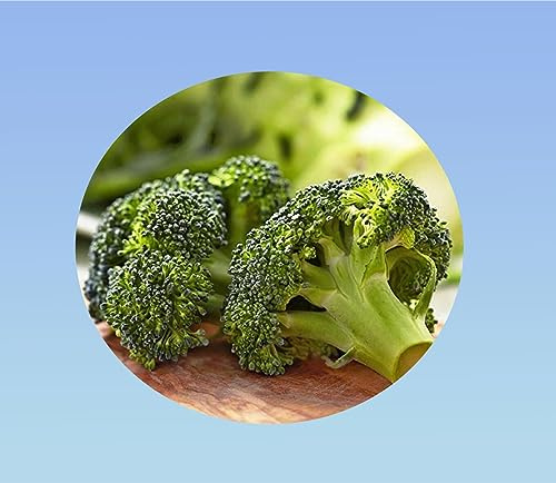 Planète graines - lot de 2g de graines de Chou Brocoli Calabrais soit environ 500 Graines