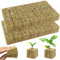 BSTDAYEVER Laine de Roche Blocs Cubes De Culture Soilless 56pcs Bouchons De Plantes en Laine 4x4x4cm Hydroponique Cubes Bonne Respirabilité pour Bouturage la Culture et la Transplantation de Semis