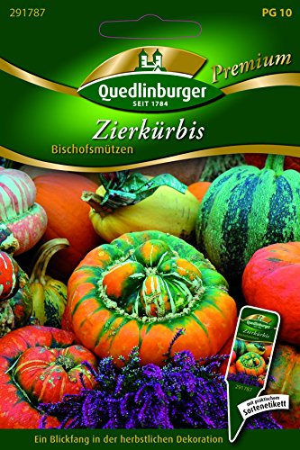 Kürbis Zier- Bischofsmützen - Cucurbita pepo L. QLB Premium Saatgut Blumen einjährig