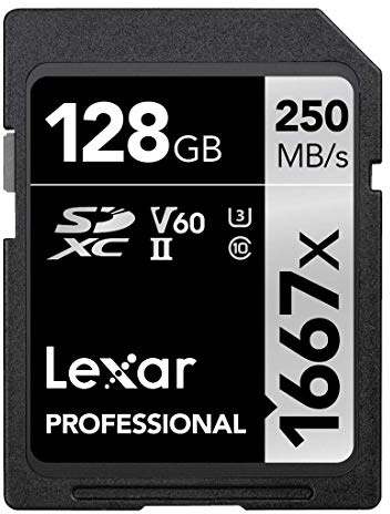Lexar Professional 1667X UHS-2 klass 10 SDXC-kort 128 GB