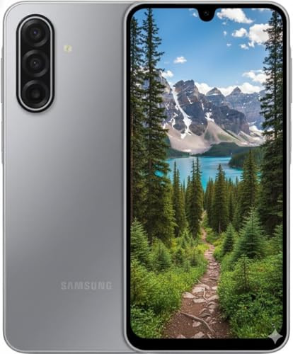 Samsung A175F/DSB Galaxy A17, Dual, 128GB 4GB Ram, Grigio
