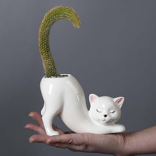 Keramik Schwanzlose Katze Sukkulenten Töpfe, niedlicher lustiger Kätzchen-Pflanzgefäß, kreative Blumentöpfe für alle Zimmerpflanzen, Sukkulenten, Blumen, Kaktus, für drinnen und draußen, Büro,
