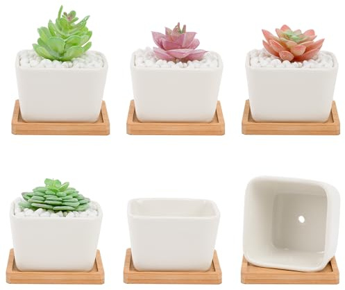 Leismy 6 vasi per piante grasse, per cactus, in ceramica bianca, con foro di drenaggio e vassoio rimovibile, piccoli vasi per piante per casa, ufficio, bonsai, per interni ed esterni (quadrati)