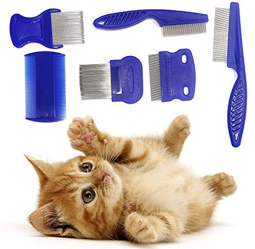 6 Pezzi Pettine Antipulci per Gatti cani per Toelettatura Rimuovi Galleggiante peli Zecche Rimozione muco e Croste degli occhi Pettine Smacchiatore a Denti fini in Acciaio inox (Blu)