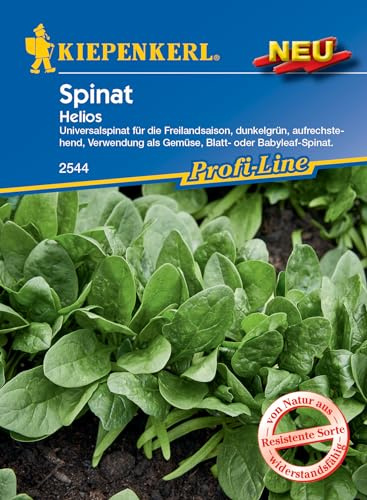 Kiepenkerl Profi-Line Spinatsamen Helios F1 - Hochwertige Gemüsesamen, F1-Hybride für Ertrag & Schossfestigkeit - Profi Garten & Hochbeet Spinat Samen - Profi-Line F1 Gemüse