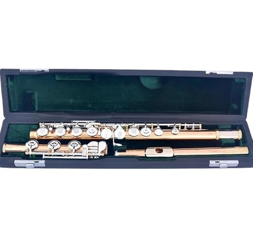 Querflöte Instrument Professionelle C-Flöte 17 Offene Löcher Versilbert Golden