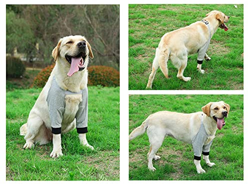 Tnfeeon Ellenbogenschutz Hundevorderbein, Schutzbandage für Gelenkpflege, atmungsaktiv und rutschfest, für Hunde bei Bewegung und Ruhezeiten (L)