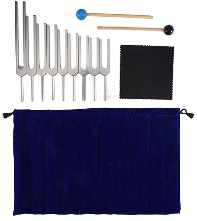 NONDK Stimmgabel Set - 9 Stimmgabeln für Chakra Heilung, Klangtherapie, Halten KöRper, Geist und Seele im Perfekter Harmonie - Silber
