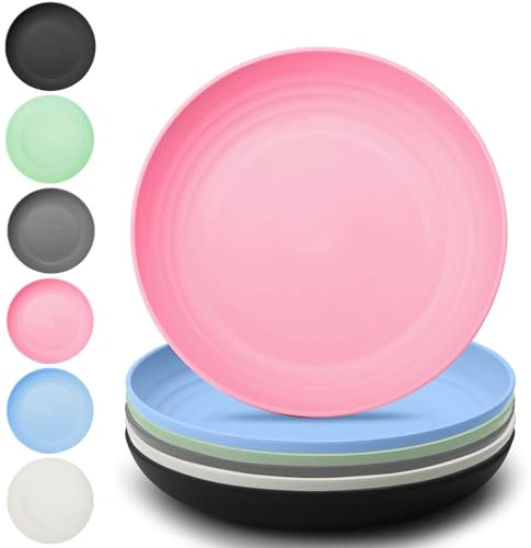 YuLiMirich 6er Teller 23cm Leichte Kunststoffplatten Groß Unzerbrechlich Wiederverwendbar Teller Platten Set Speiseteller für Pizza, Pasta, Brot, Jause, Salat, Mikrowellen & Spülmaschinenfest