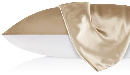 LilySilk 1PC Silk Pillowcase for Hair and Skin, 19 Momme 100% Mulberry Silk with Cotton Underside, Soft Hypoallergenic Silk Bed Pillow Case with Hidden Zipper Bag Package(Standard 50x75cm, Taupe)