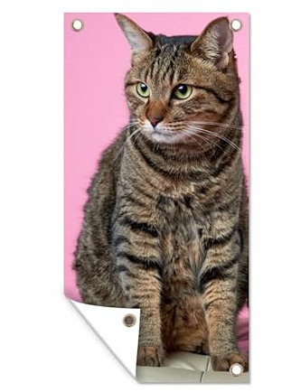 Outdoor-Poster Poster Wanddeko draußen Deko Garten Gartenposter 80x160 cm Katze - Rosa - Pouf - Mädchen - Kinder - Kinder