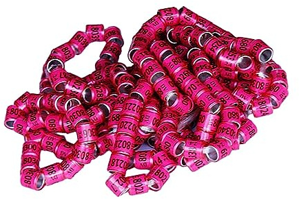 predolo 100 Stück 2024 Taubenring Aluminium-Taubenbeinringe zur Identifizierung ähnlich aussehender Vögel, ROSA