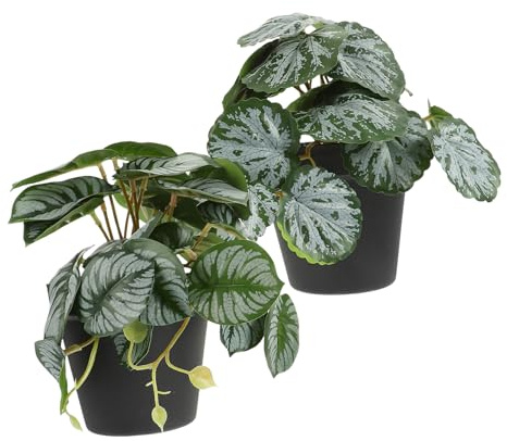 Holibanna 2pcs Simulated Plant Pots Artificial Green Faux Plants for Indoor Tabletop Shelf Decor House Accessories for Living Display