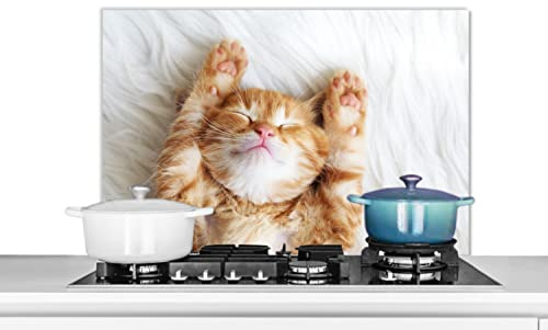 Credence Chat - Rouge - Animaux de compagnie - Chaton Fond de hotte 80x55 cm Credence aluminium Plaque inox de cuisine