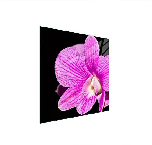 DarHuas Herdabdeckplatte 50x52 cm 1-teilig Ceranfeldabdeckung Induktion Herdschutz Spritzschutz Glasplatte Deko Schneidebrett, Orchidee Violett