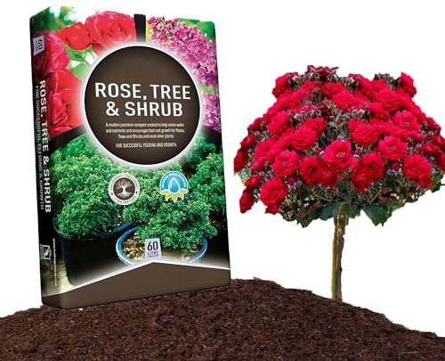 60 Litres Outdoor & Indoor Planting Rose Tree & Shrub Compost Bag Gardening Soil Small To Large Plants (60 Litre Bag)
