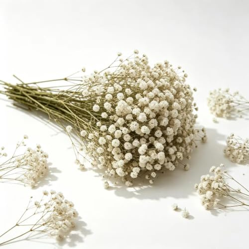 100 Stück Schleierkraut Getrocknet, Trockenblumen Schleierkraut, Trockenblumen zum Basteln, Getrocknete Blumen Klein für DIY Fotorahmen, Lesezeichen, Grußkarten