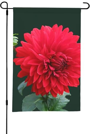 Dahlia rouge,Drapeau de jardin décoratif double face pour intérieur et extérieur, 30 x 45 cm