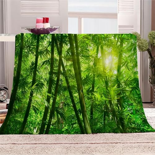 Grün Kuscheldecke Flauschig 220x240cm 3D Bambus Fleecedecke Weich Sofadecke Warm Bettdecke Decken Wohndecke Tagesdecke Sofaüberwurf Decke Couchdecke Bettüberwurf E1065