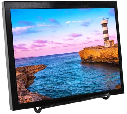 VSDISPLAY 24,6 cm (9,7 Zoll) 2048 x 1536 2K IPS LCD Monitor | USB USB C Video Eingang, Dual Lautsprecher, Metallgehäuse