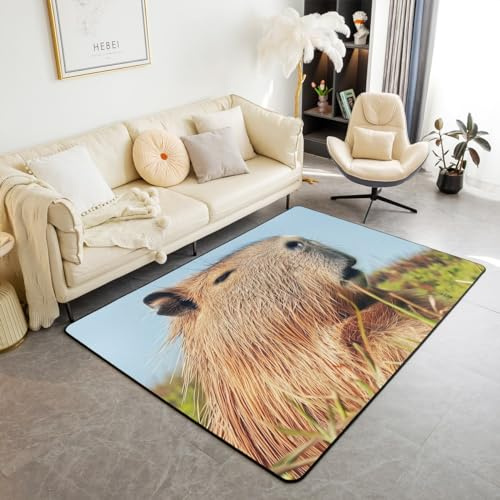 Erosebridal 3D Funny Capybara Area Rug for Bedside Classroom Cute Cartoon Capybara Carpet Rodent Aniamals Indoor Floor Mat Rustic Stlye Decorative Rug Non Shedding,Non Slip Washable 5x7
