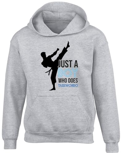 Shopagift Just a Boy who Loves Taekwondo Kids Hoodie Martial Arts Hoody Hooded Top Boys Girls Grey