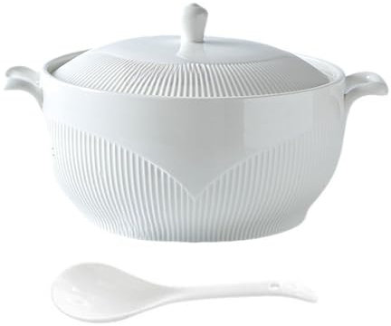 Zuppiera in ceramica con coperchio a doppio manico per zuppe, stufati, cereali, stoviglie decorative perfette per zuppe di miso
