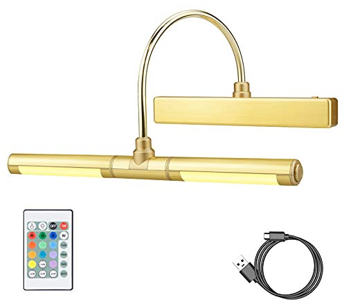 HONWELL Lampada per quadri wireless ricaricabile con 12 colori che cambiano, applique da parete a LED con telecomando, lampada display a LED da 13 pollici con testa girevole per Quadri da Pittura,Oro