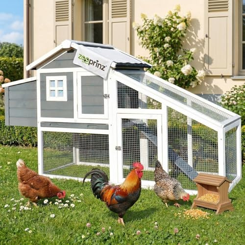 zooprinz Hühnerstall mit Nistkasten – Hühnerhaus aus Vollholz