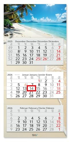 Timr 3-månaderskalender 2026 - väggkalender 3 månader med skjutmarkör - 70 cm tremånaderskalender flerspråkig DE/GB/FR/ES | motiv palmstrand och hav | tr327