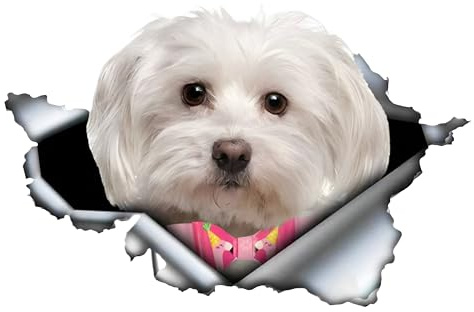 Autoaufkleber Malteser Aufkleber 15cm(5.9 Inch) Malteser Mit Rosa Schleife Reflektierende Aufkleber 3D Zerrissen Autoaufkleber Haustier Hund Lustig Aufkleber Maltese Car Sticker Lustig Dekor