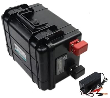 Batterie Lithium-Fer-Phosphate 12 V 30 Ah, 50 Ah, 100 Ah, 120 Ah, 150 Ah, Version Bluetooth, Compatible avec Une Alimentation Portable 12,8 V(50Ah -10A Charger)