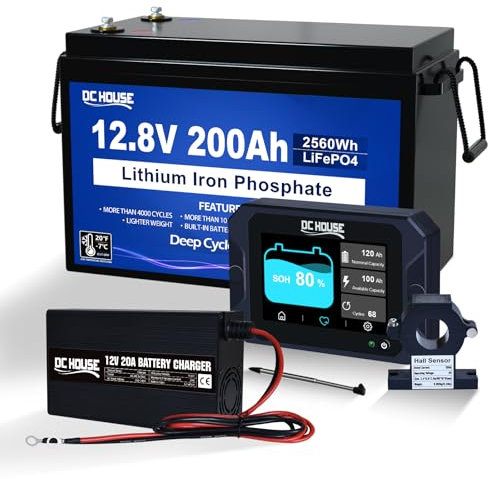 12V 200Ah LiFePO4 Batterie mit 20A Batterie Ladegeräte Batterie Monitor 300A batteriewächter 12V/24V/36V/48V Wohnmobile, Solaranlagen,Wohnwagen, netzunabhängige Anwendungen