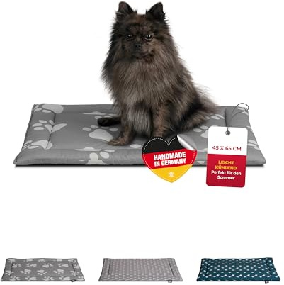 HS-Hundebett® Sommerdecke Baumwolle mit Füllung XS (45x65 cm) – Gepolsterte Hundedecke für den Sommer – Wend- & Waschbar – Leichte Hunde Sommerdecke – Pfote Anthrazit, Made in DE
