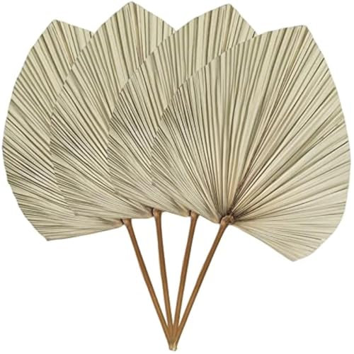 pistro Lot de 4 éventails de palmier séchés pour décoration bohème – Feuilles de palmier tropicales séchées pour mariage, bureau, décoration de table | Pièces maîtresses naturelles