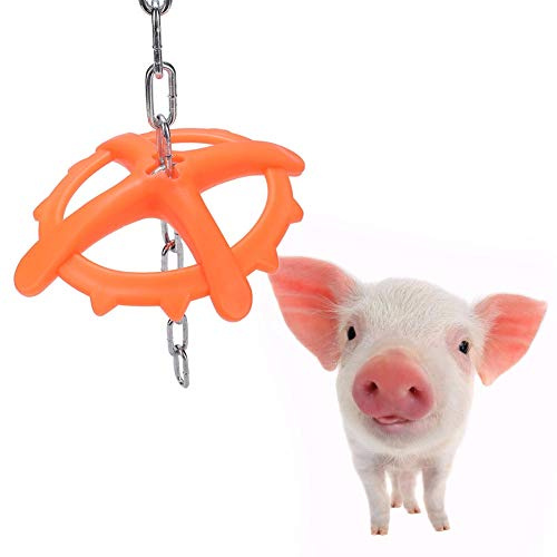 Yctze Giocattolo da Mordere a Catena in Plastica per Suinetti - Giocattolo da Masticare per Animali da Fattoria Approvato Dai Veterinari