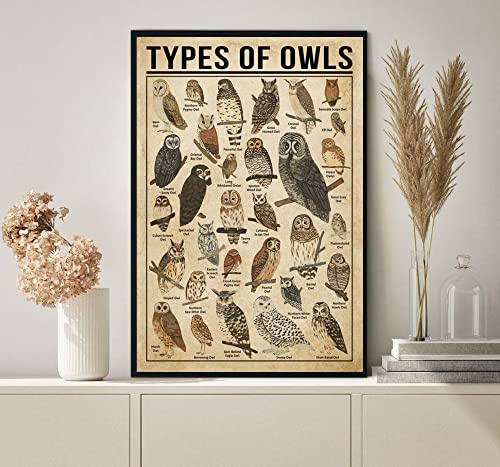 Types of Owls Owls Knowledge Owl Decor Owl L Barn Owl Forest Ls Owls Sign Decor Metal Sign Tin Sign Decor Poster Wall Art Poster 8X12 Inches