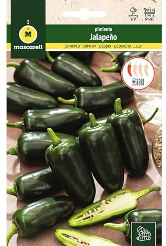 Mascarell Semillas, PIMIENTO, Semillas Huerto, PIMIENTO JALAPEÑO, Crea tu Propio Huerto Urbano y Cultivo en Casa, Plantas Hortícolas, 0,5 Gramos