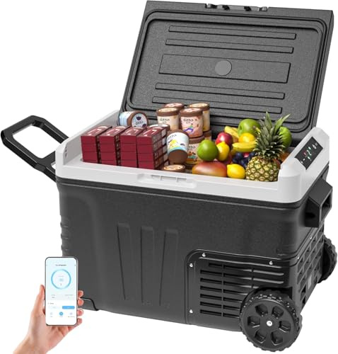 EUHOMY Frigorifero a compressore da 35 l, con app, congelatore portatile da 12 V/24 V e 220 – 240 V, frigorifero da -20 ℃ a 20 ℃, frigorifero con ruote e 2 cesti per viaggi, campeggio [classe