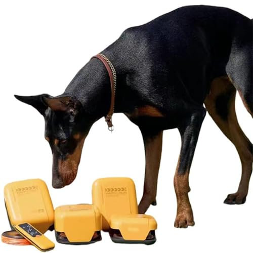 ZYLDDS Jouets Interactifs pour Chiens, Machine De Cours De Leurre pour Chiens, équipement D'entraînement D'agilité pour Chiens pour Jeux De Plein Air Et Exercices Interactifs
