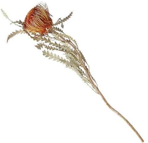 Dekorative Trockenblumen 1 Stück, Nostalgisch Romantisch, Blumenform